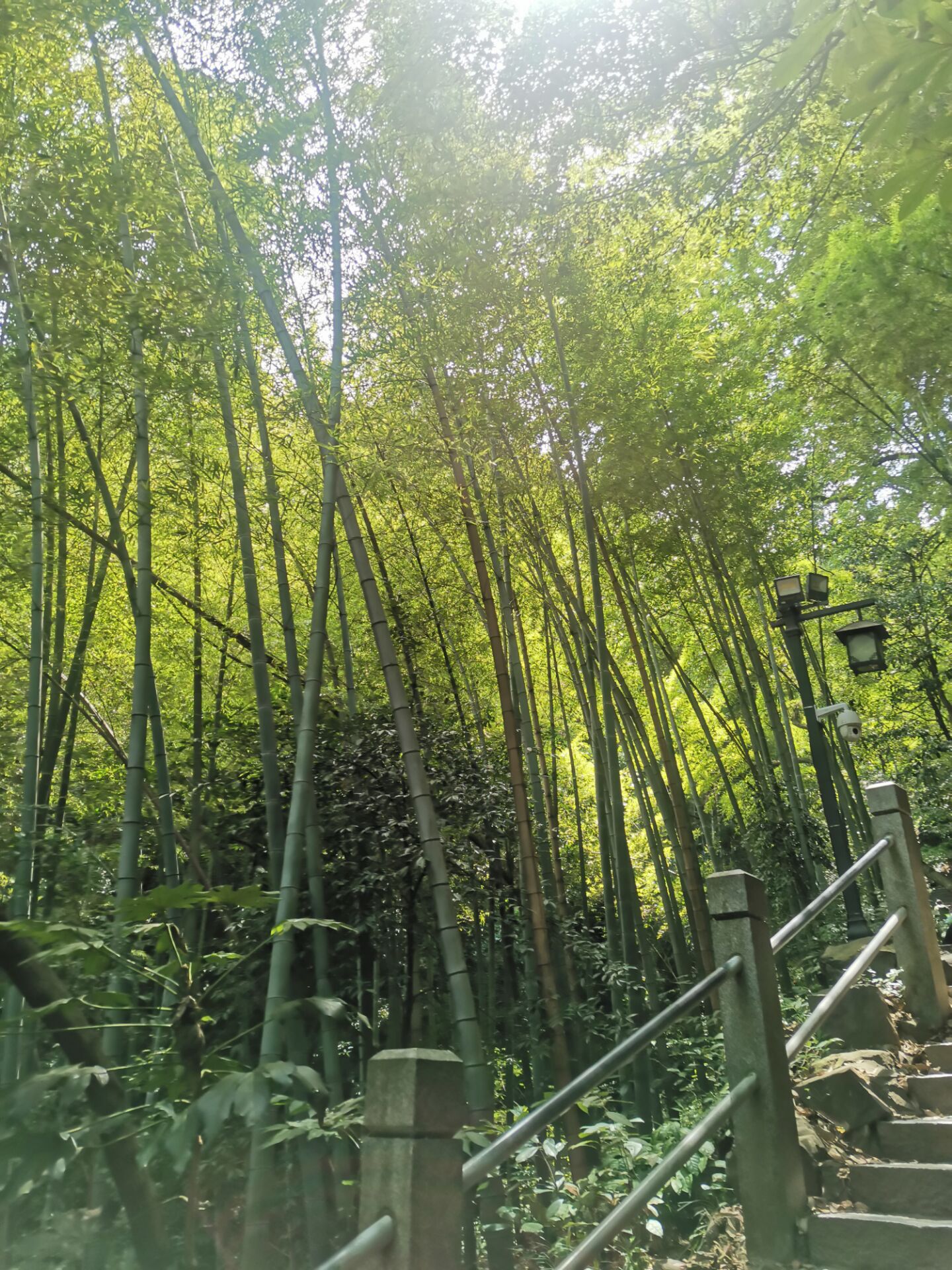 rz产生特殊字符文件的删除